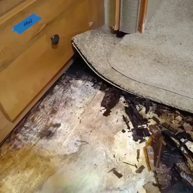 Wood Floor Water Damage in Harrison County, WV